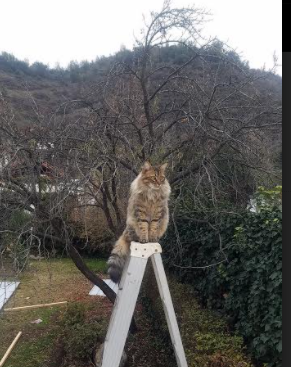 《新款电竞装备登场：为职业选手量身定制》，电竞套件