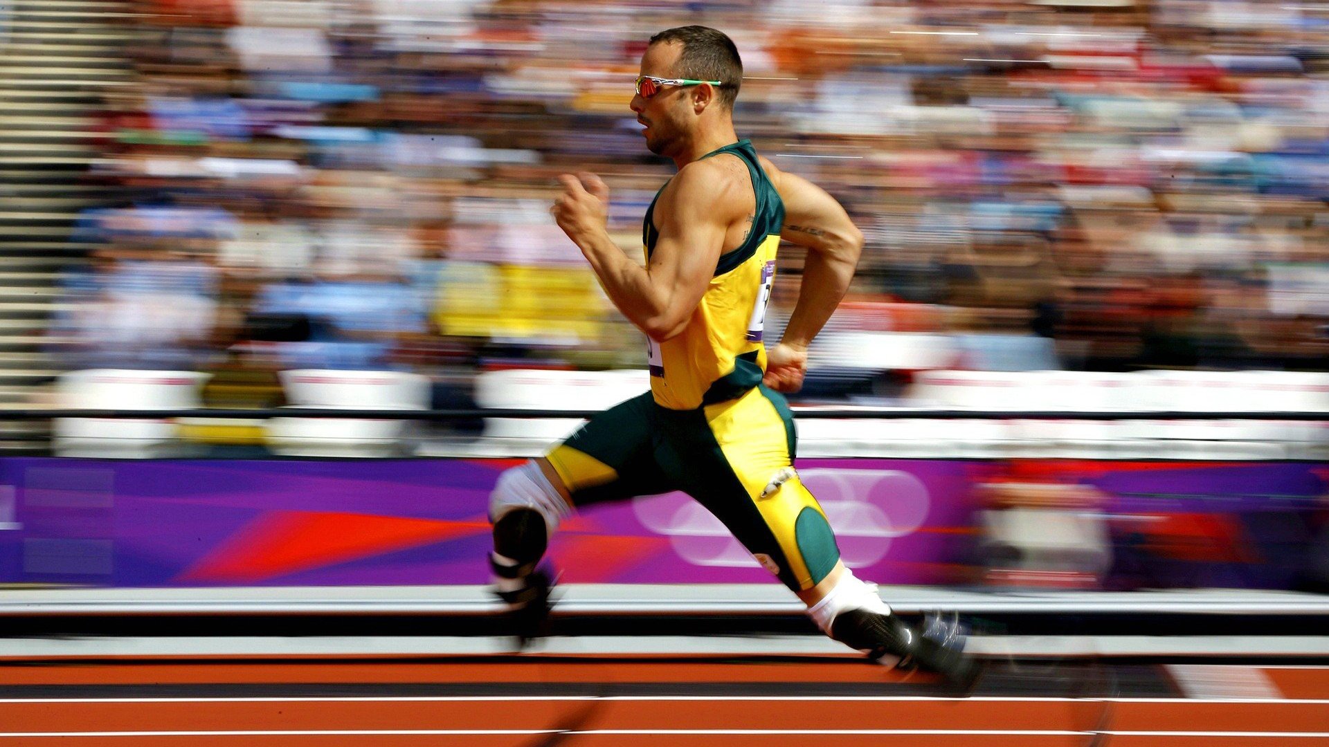 英国男泳队自由泳出发速度领先，英国自由泳接力